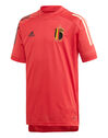 Kids Belgium Euro 2020 Training T-Shirt