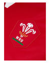 Adult Wales Home Jersey
