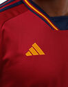 Adult Spain Home Jersey