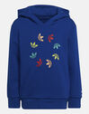 Younger Boys Hoodie Tracksuit