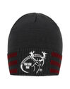 Munster Supporters Beanie