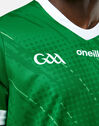 Adults Limerick 22/23 Home Jersey