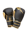 Boxing 10 OZ Gloves