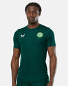 Adults Ireland Training T-Shirt