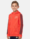 Kids Munster Hoodie