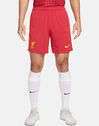 Adults Liverpool 24/25 Home Shorts