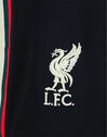 Adults Liverpool 21/22 Away Shorts