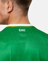 Adults Ireland Home Jersey