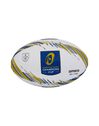 Champions Cup Supporter Ball