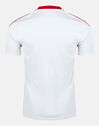 Adult Manchester United Training Jersey