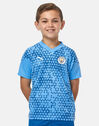 Kids Manchester City Training T-Shirt