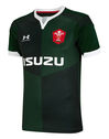 Adult Wales Away Jersey