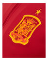 Adult Spain Euro 2020 Anthem Jacket