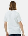Mens Organic Colour T-Shirt