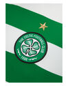 Adult Celtic 19/20 Home Jersey