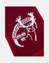 Munster Supporters Scarf