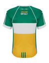 Adult Offaly Home Jersey