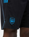 Adults Arsenal Training Shorts