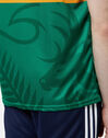 Adults Kerry 22/23 Home Jersey