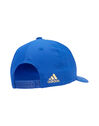 Leinster Supporters Cap