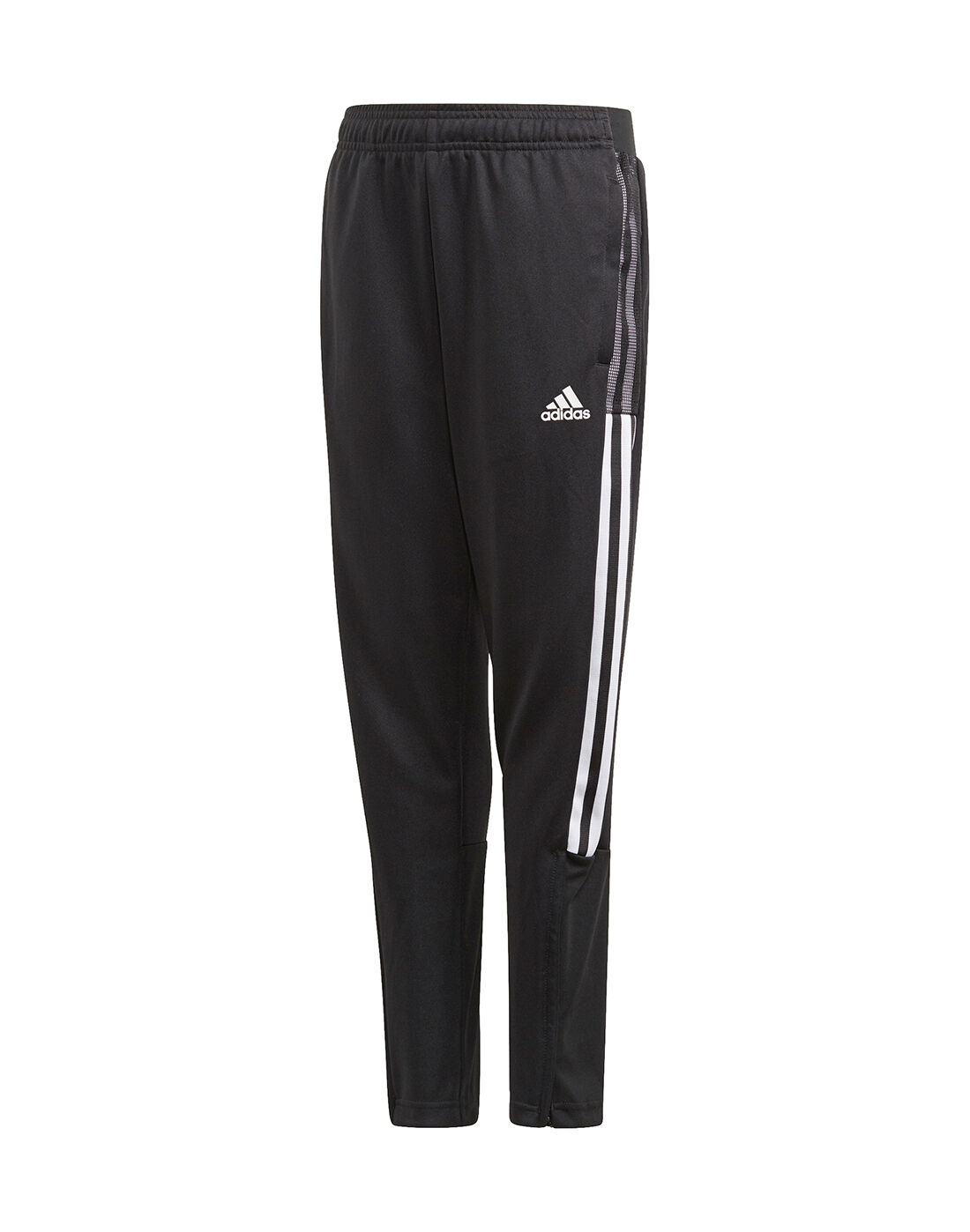 adidas pants with converse