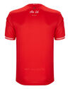 Adult Louth Home Jersey