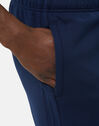 Adult Leinster Sweat Pants