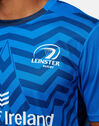 Adults Leinster Training T-Shirt