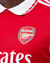 Adult Arsenal 22/23 Authentic Home Jersey