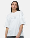 Womens Iconic Collegiate Oversized T-Shirt