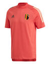 Adult Belgium Euro 2020 Training T-Shirt