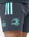 Adult Leinster Gym Shorts
