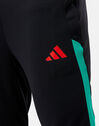 Adults Manchester United Training Pants
