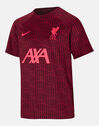 Kids Liverpool 22/23 Pre Match T-Shirt