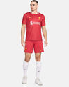 Adults Liverpool 24/25 Home Jersey