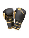 Boxing 12 OZ Gloves