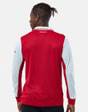 Adult Arsenal 22/23 Long Sleeve Home Jersey