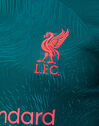 Adults Liverpool 22/23 Third Jersey