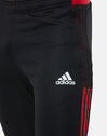 Adult Manchester United 21/22 Training Pants