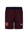 Kids Arsenal 18/19 Away Shorts