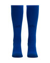 Adult Leinster Home Sock 2019/20