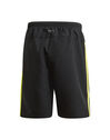 Adult Hurricanes Woven Shorts