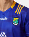 Adults Wicklow 23/24 Home Jersey