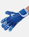 Adults Elite 2.0 Grip Goalkeeper Gloves