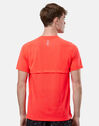 Mens Streaker T-Shirt