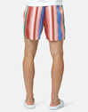 Mens Striped Swim Shorts