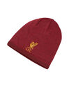 Liverpool Knitted Beanie