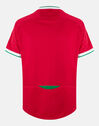 Adult Wales 20/21 Home Jersey