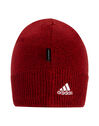 Munster Supporters Beanie