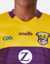 Kids Wexford 22/23 Home Jersey